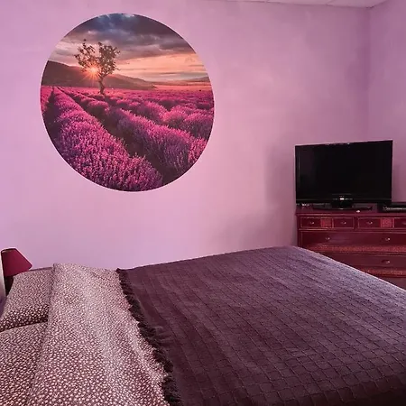 Kleine Auszeit 公寓式酒店